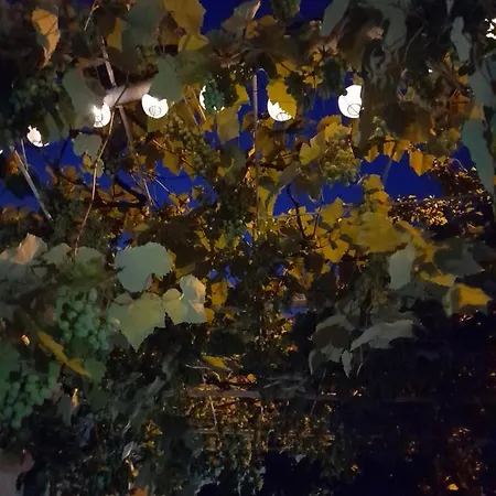 Le Zagare فندق مبيت وإفطار باولا