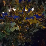 Le Zagare Panzió Paola