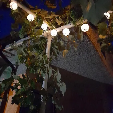 Bed & Breakfast Le Zagare Paola