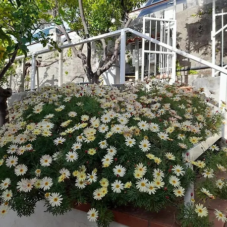 Bed & Breakfast Le Zagare Paola
