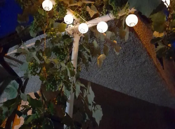 Alojamento de Acomodação e Pequeno-almoço Le Zagare Paola