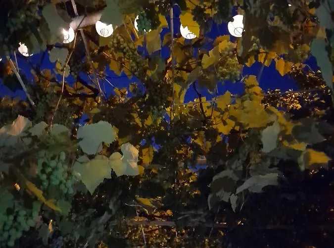 Le Zagare Alojamento de Acomodação e Pequeno-almoço Paola