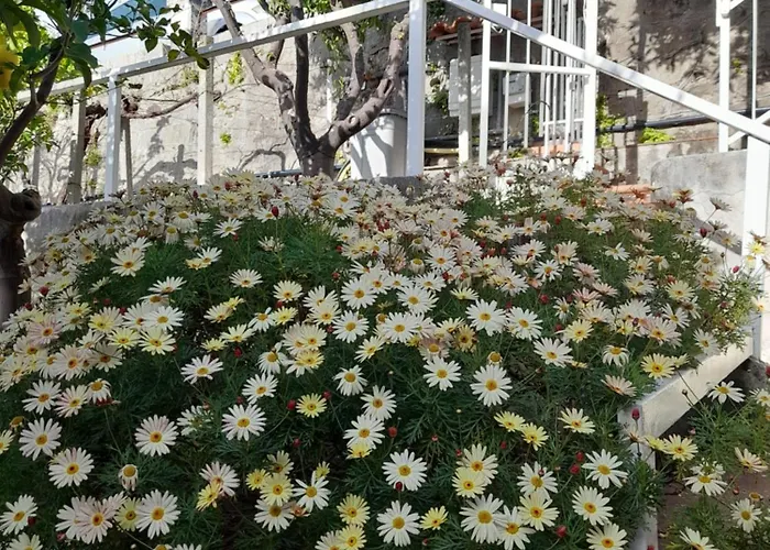 Alojamento de Acomodação e Pequeno-almoço Le Zagare Paola